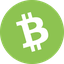Bitcoin Cash Icon